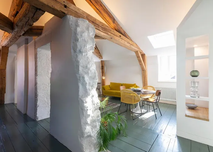 Le Grand Amerval - Joli Climatise Apartment Nancy